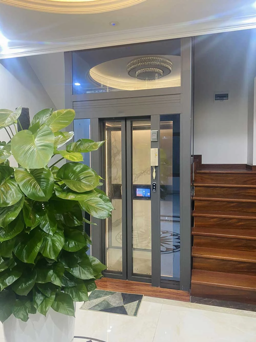 Thang máy nhập khẩu 01